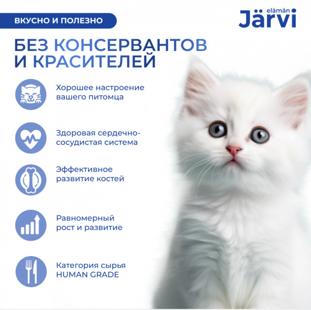 Консерва Jarvi Котята Телятина (ламистер) для котят  100 г: ПАШТЕТ