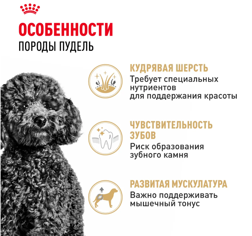 Корм Royal Canin Yorkshire Poodle Adult для взрослых собак породы пудель