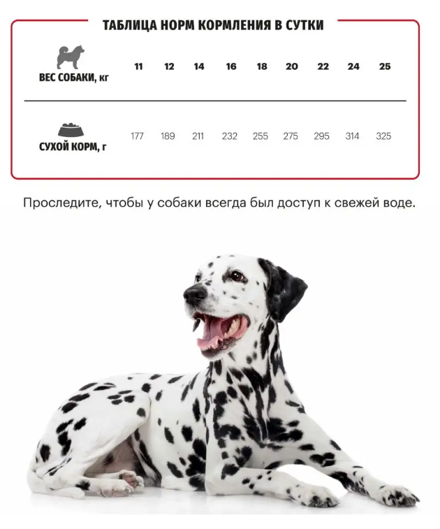 Корм Karmy HYPOALLERGENIC MEDIUM&MAXI для склонных к пищевой аллергии - ягненок