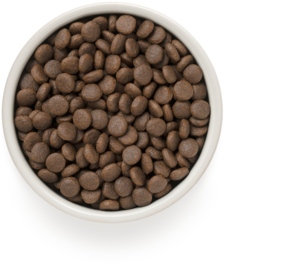 Корм Grandorf 4 Meat Recipe Medium & Maxi Holistic Probiotic для собак средних и крупных пород, с ПРОБИОТИКАМИ, 4 вида мяса с рисом