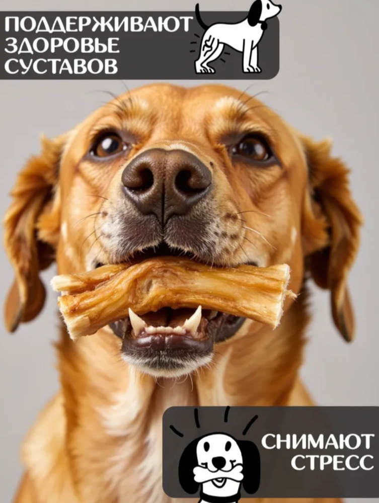 Лакомства For Rodent Dog конское сухожилие 20nсм 100 г для собак